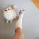 조신옆골 이미지
