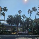 서귀포용이식당제주시청점 | 제주도 [서귀포 용이식당]