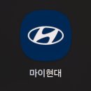 전환 | 마이현대 블루링크 무료 끝? 유료 전환 후기