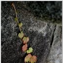 보문호수 이미지