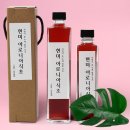 배금초 이미지