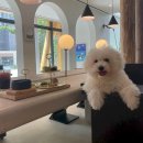 호텔호사 이미지