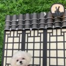 페스츄리(PET'S TREE) 이미지