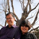 보룡1리 이미지