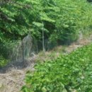 행정 다기능회관 이미지