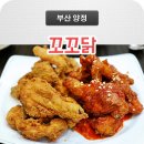 꼬꼬닭/안녕닭 이미지