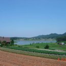마금목장 Daum카페