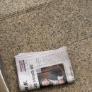 구독 | [종이신문] 조선일보 종이신문 1개월 무료 구독 후기