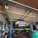 타이어365 장유점 이미지