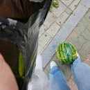 청기와냉면초계막국수 이미지