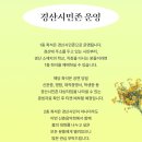 신춘음악회 이미지