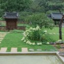 하루소양 이미지