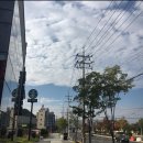 대전판암 다이소 이미지