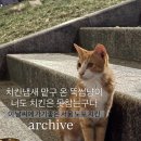 한양닭집 | 지금 딱 가기좋은 서울 야장 노포 치킨 맛집 BEST 3｜잠원 한신치킨, 청량리 남원통닭, 건대 해남닭집 비교