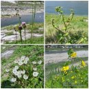 하늘가애 | 지리산 둘레길 9코스_덕산마을에서 위태마을까지.