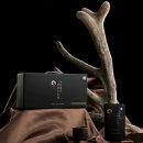 중열농장 이미지