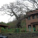 내태1리 이미지