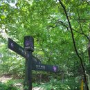 대연1농장 이미지