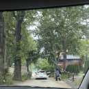 [남양주/일상] 빠지 처음 온 사람 나야나 ‘빠지 드림웨이브 수상레저’ 내돈내산 후기