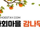 감나무민박 이미지