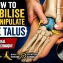 발목 움직임이 제한된다면? 거골(Talus)을 평가하고 움직여야 하는 이유. 이미지