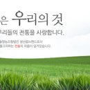 솔영농 이미지