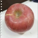 사과 | 안동사과 후기 맛있는 햇부사 가정용 가격
