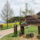 통영생태숲(입구) 이미지