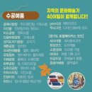 무료로 쪽염색 체험해보고 싶은 사람~!!!🙋‍♀️🙋‍♀️ 2023 뚝마켓 무료체험 (📍장소, 시간표, 신청방법, 참가...