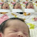 하트온동물병원 | 의정부 신여성병원 자연분만 출산후기(39주4일, 무통X, 둘째 경산모)