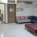 세인연합의원 이미지