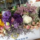 품안농장 이미지