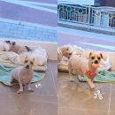 보리미용실 이미지