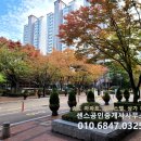 오색공인중개사사무소 이미지