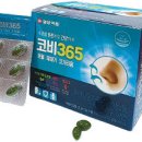 코비 트래블 이미지