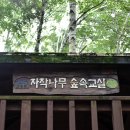 숲속나무교실