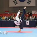 한국체대금메달태권도장 이미지