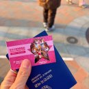 서면경로식당 | 상하이 여행 2월 디즈니랜드 티켓 가격 | 얼리버드DPA 선택법 (1월 최신 혼잡도 불꽃놀이 식당)