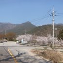 송정주차장 이미지