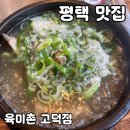 육미촌(고덕점) | 평택 맛집 육미촌 고덕점 내돈내산 후기
