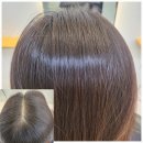 HAIR 덕분愛