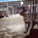 대풍슈퍼 이미지