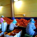 햇살찬농장 이미지