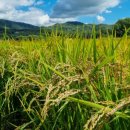 소뚝도랑 둘레길 이미지