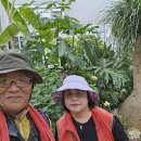 성남시 식물원( 副題 : 소확행(小確幸) 이미지