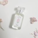 바닐라블라썸(Vanilla Blossom) 이미지