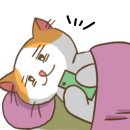 삼층고양이 이미지