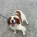 화명대로 이미지