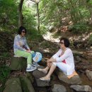 서매농장 이미지