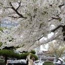 [남부] 건강밥상차리기 | [육아100일] 삼신상 차리기이대로만 따라해보세요 아주쉬움주의